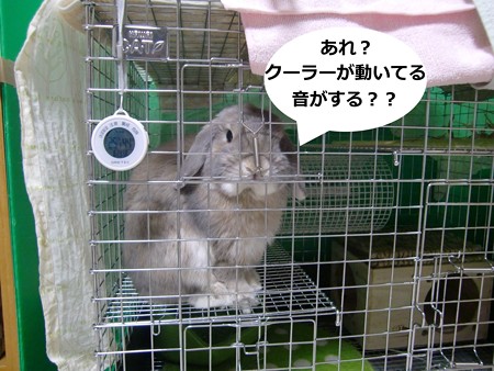 あ1