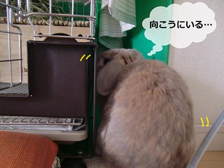 いたずら1