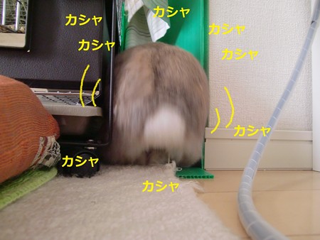 いたずら2