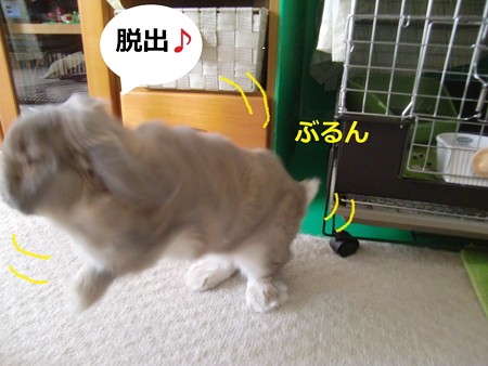 いたずら5