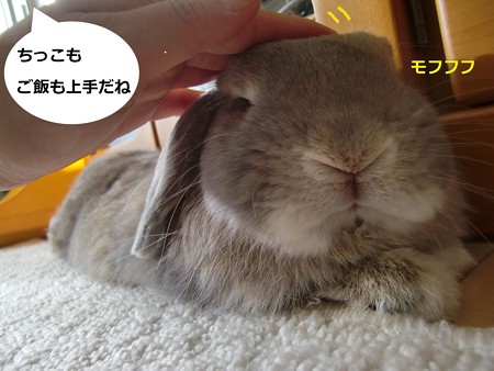 暑いな3