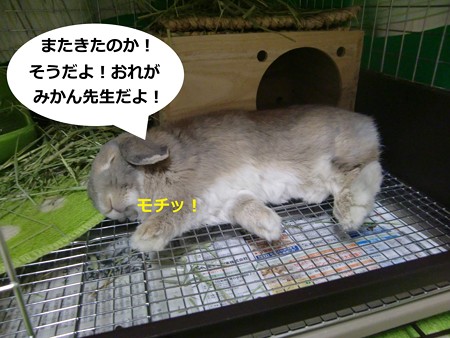 あ1