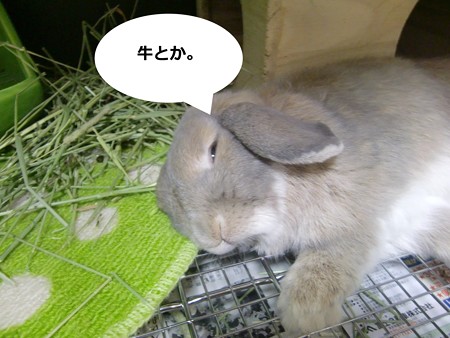 あ5
