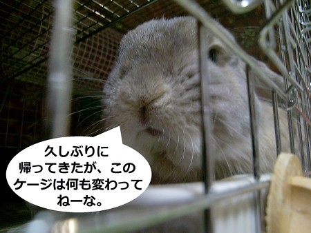 う1
