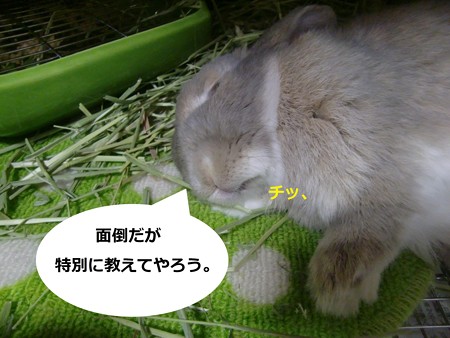 あ3