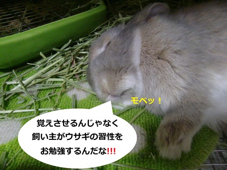あ4
