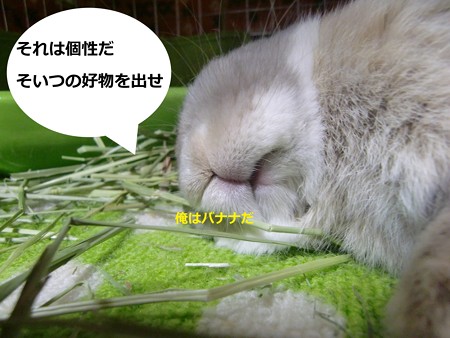 ニセ先生5