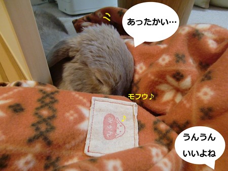 ぽかぽか2