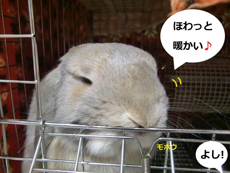 ぽかぽか4