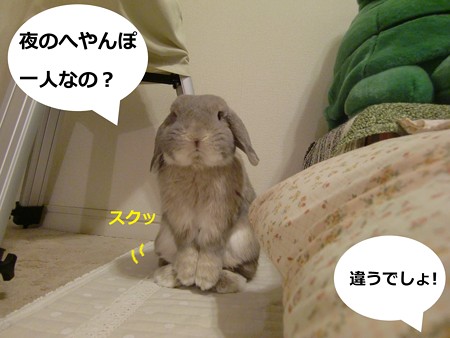 そうなの?2