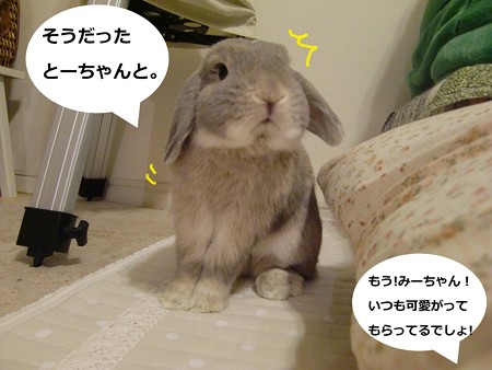 そうなの?3