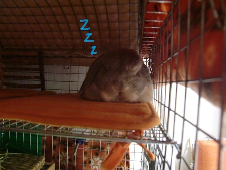 あ4