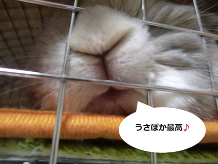 あ5