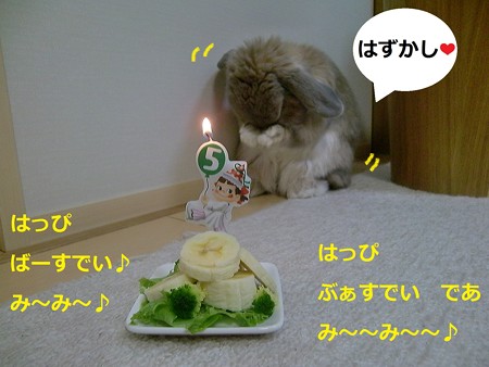 5歳3