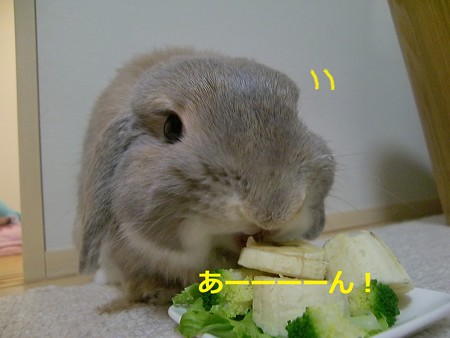 5歳5