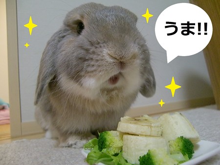 5歳7