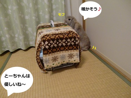 うさんぽ準備1