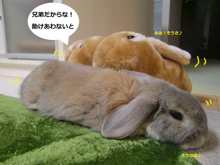 ぽかぽか3