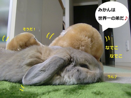 ぽかぽか5