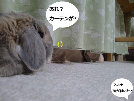 すきま3