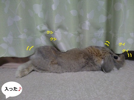すきま4