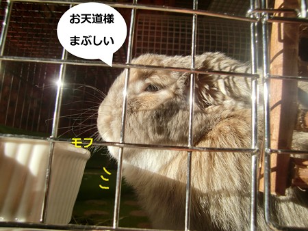おはよ2