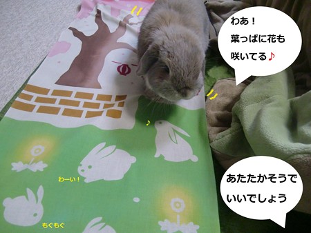 掛け軸3