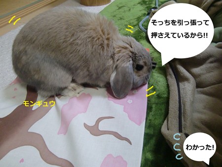 掛け軸4