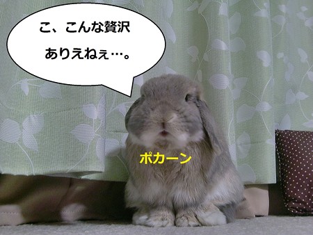 お6
