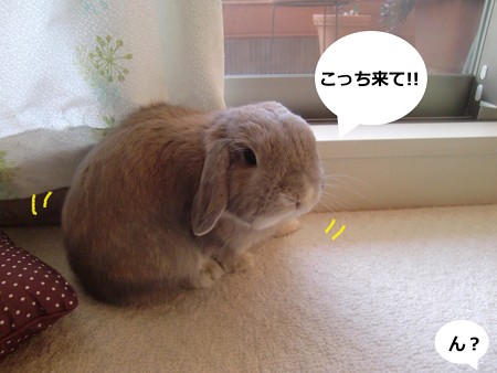 咲いた2