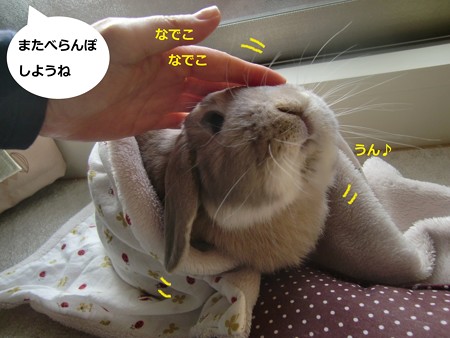 咲いた6