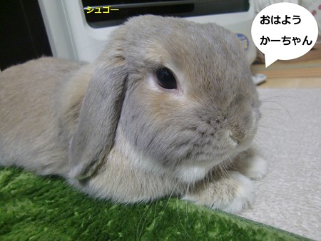 ねぐせ1