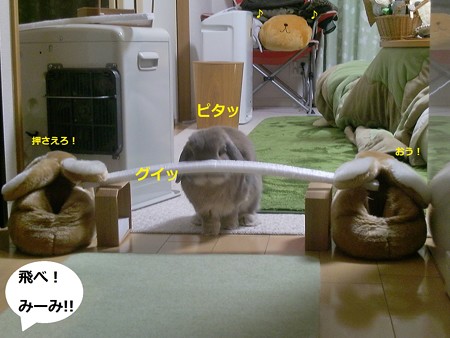遊ぶ3