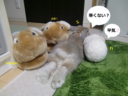 ぬくもり1