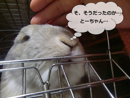 い5