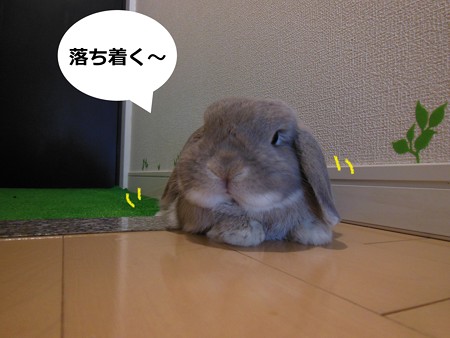 段差4