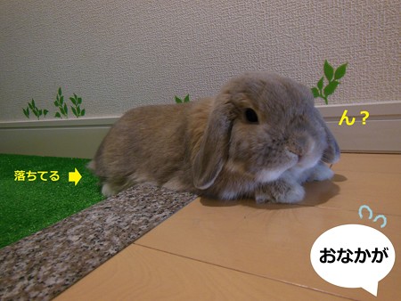 段差5
