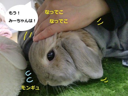 囲む4
