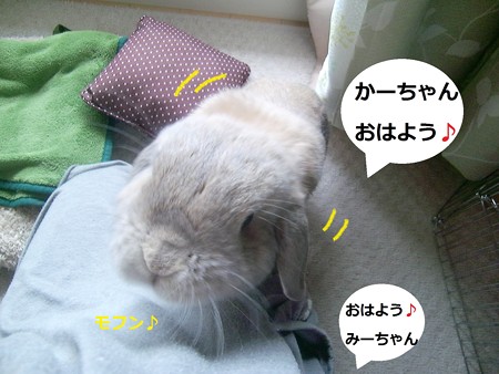 おはよう3