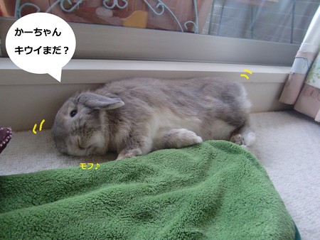 朝寝1