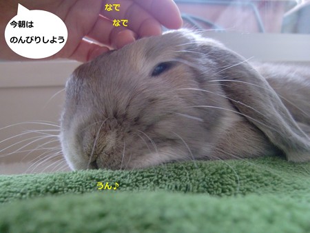 朝寝4