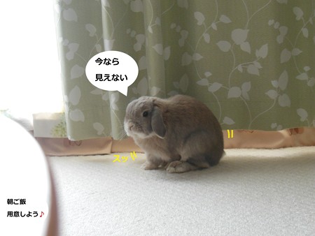 企む2