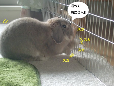 企む4