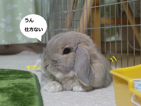 わかった2