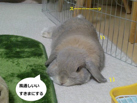 わかった3