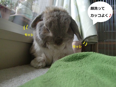 しぐさ1