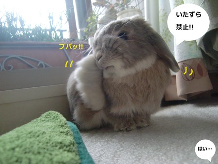 しぐさ6