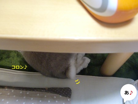 コロン1