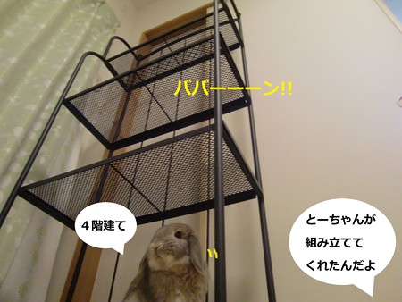 園芸3