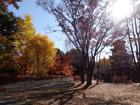 27 11 13 山形 霞城公園 2